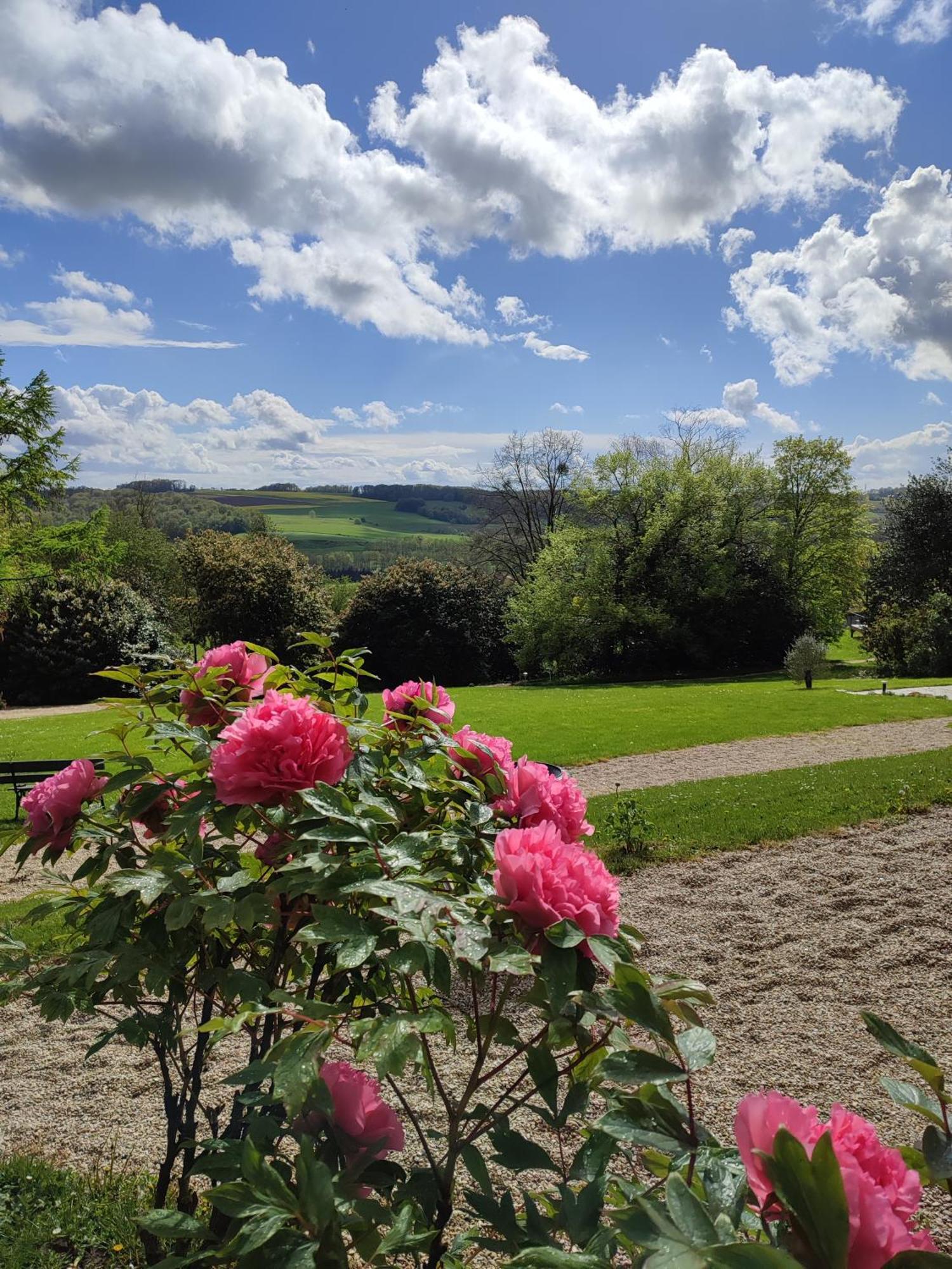 Bed and Breakfast Demeure De La Garenne Montmirail  Exterior foto