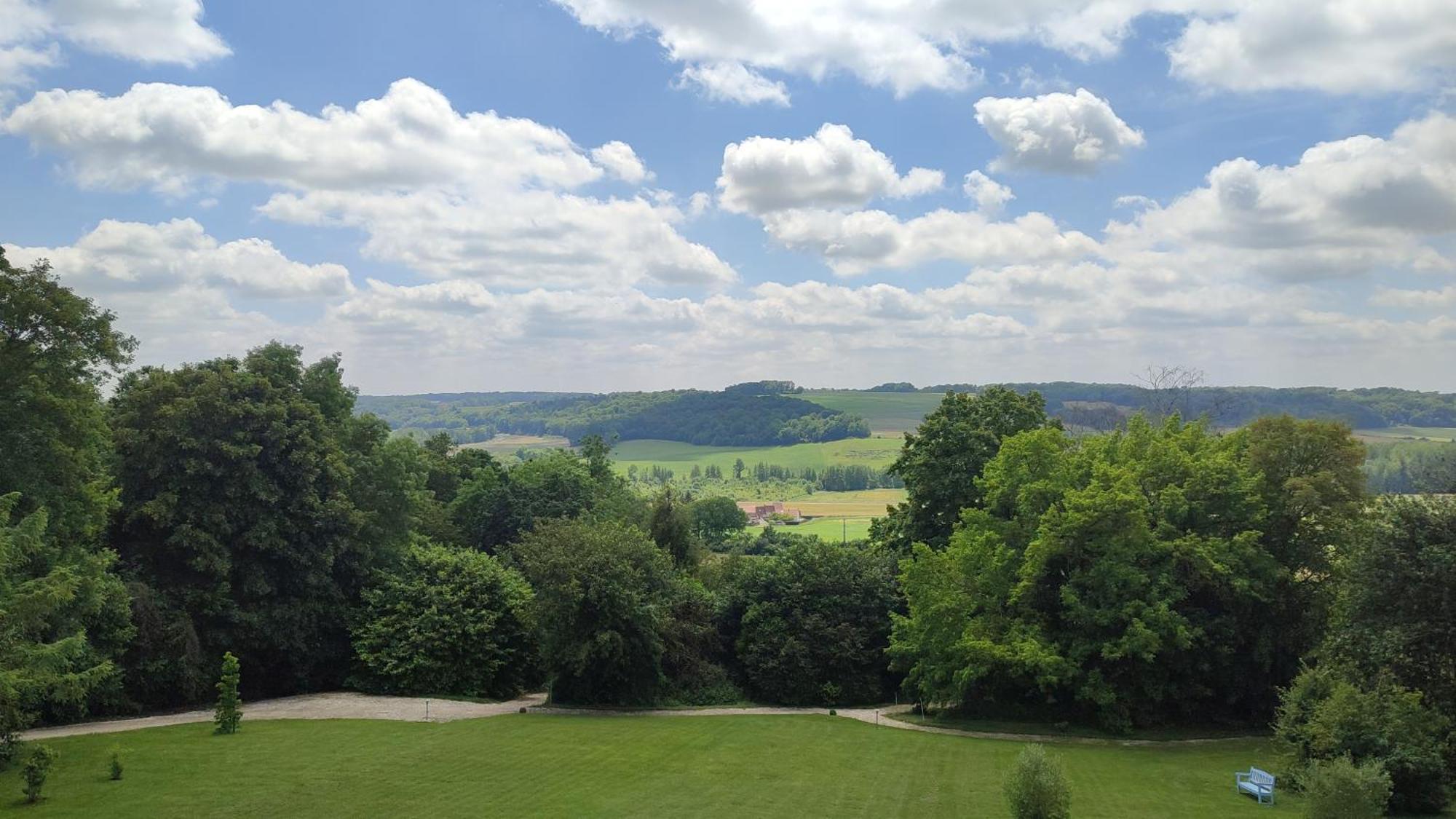 Bed and Breakfast Demeure De La Garenne Montmirail  Exterior foto